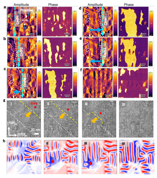 澤攸科技原位TEM 澤攸科技原位TEM